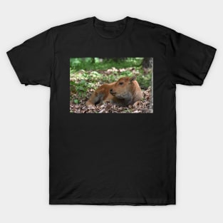 Bison Calf T-Shirt